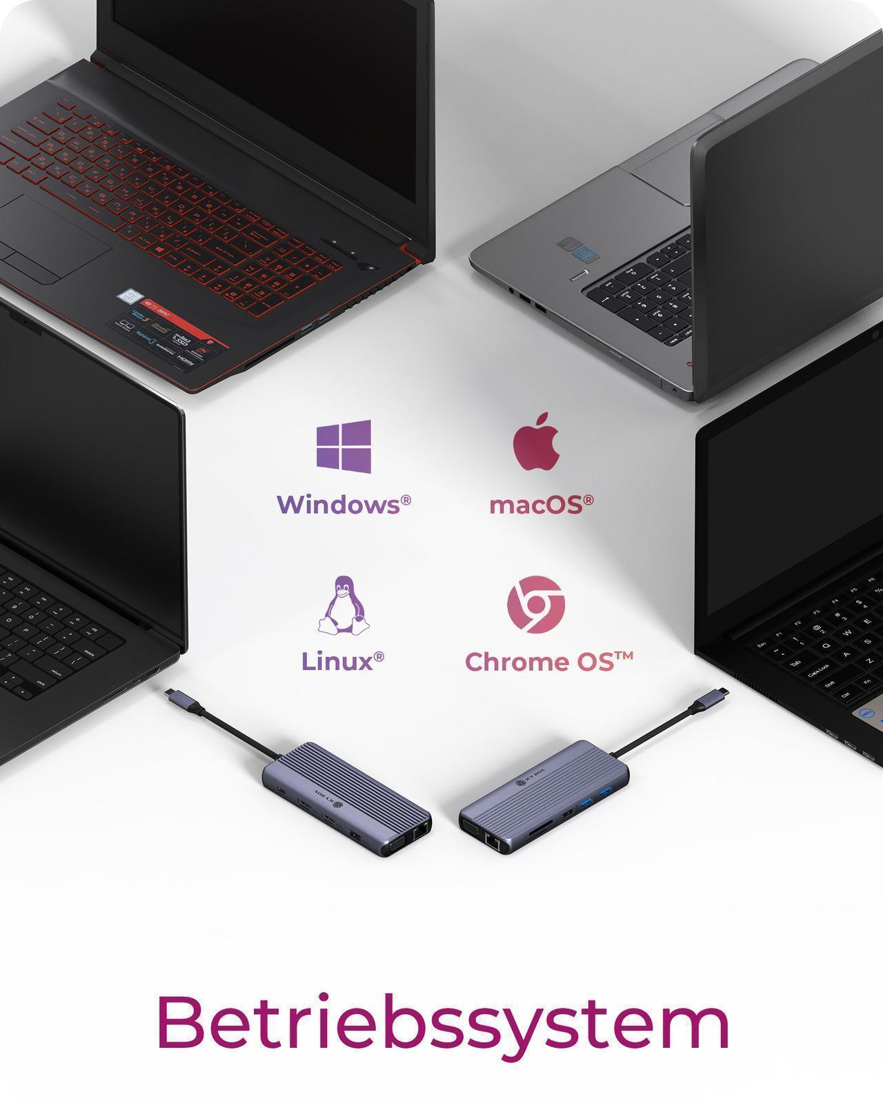 12-in-1 DockingStation mit dreifacher Videoausgabe