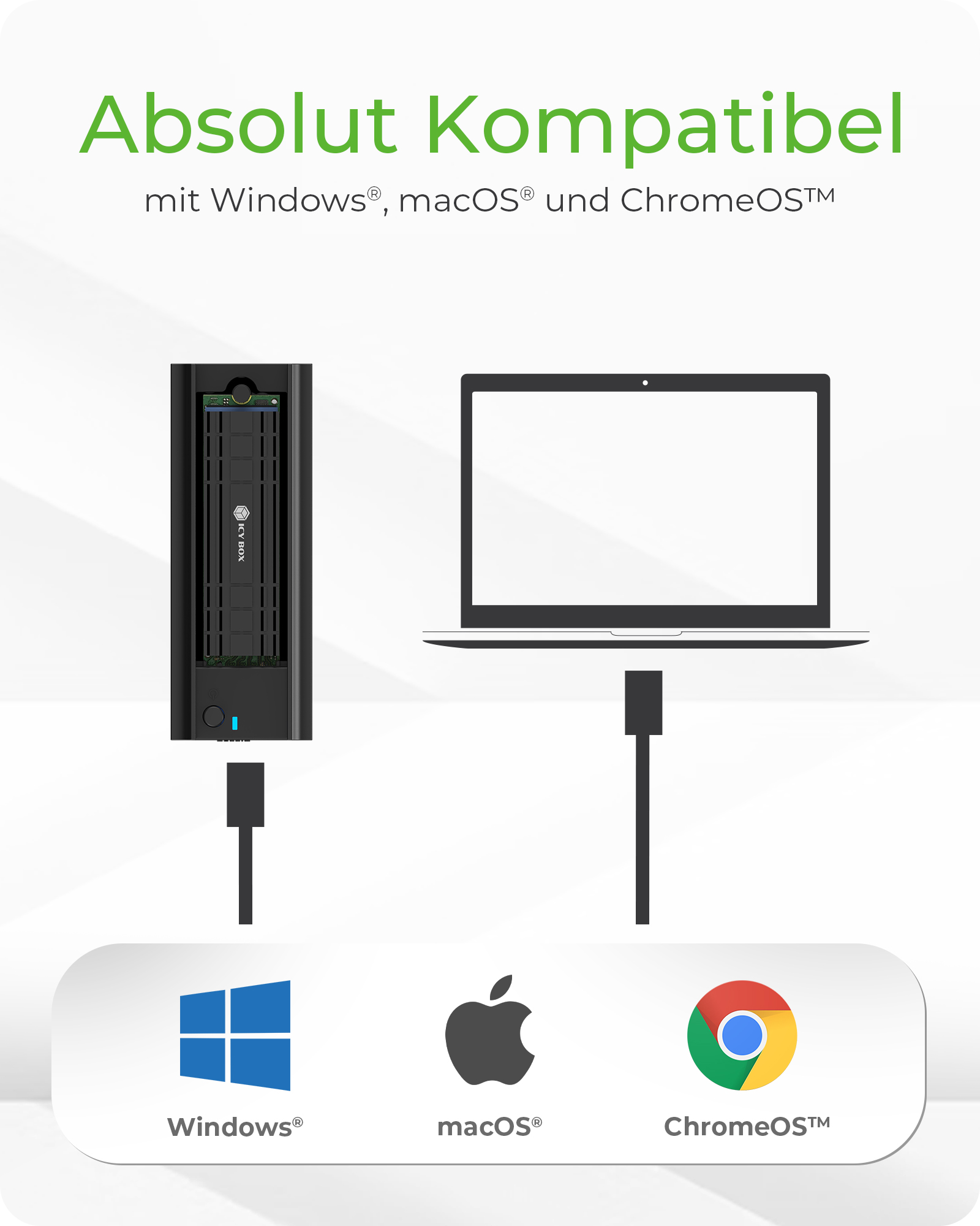 DockingStation für M.2 SSD mit USB 3.2 (Gen 2) Type-C® or Type-A Anschluss