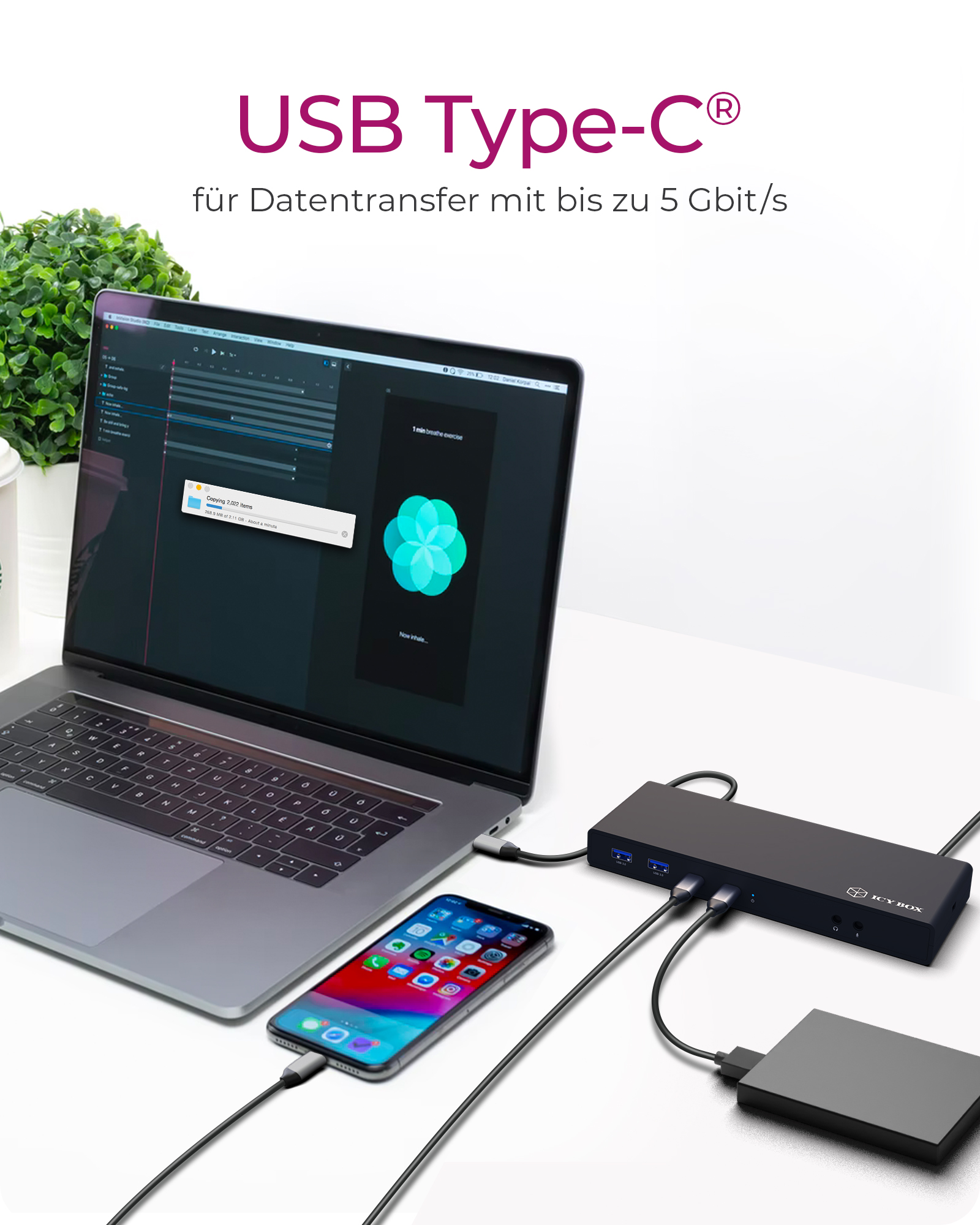 13-in-1 USB 3.0 Type-A + Type-C® Dock mit PD 65 W